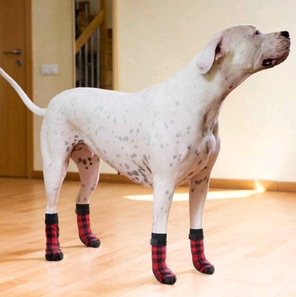 Plaid Double-sided Anti Slip Dog Socks For Hot And Cold Roads LARGE - Picture 5 of 6
